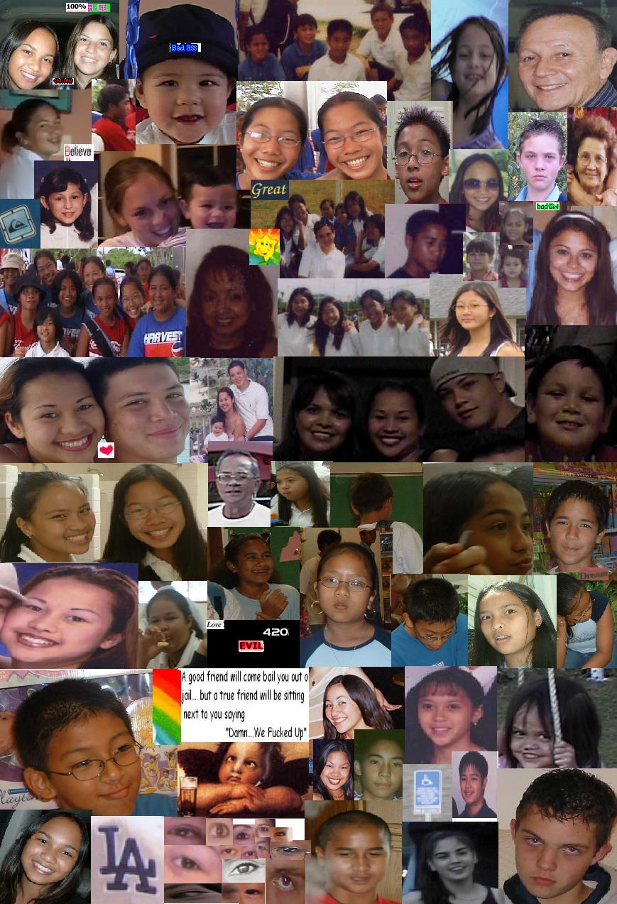 collage.jpg